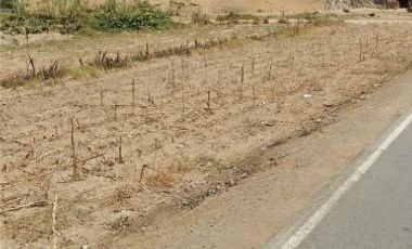Terreno en esquina de Asia