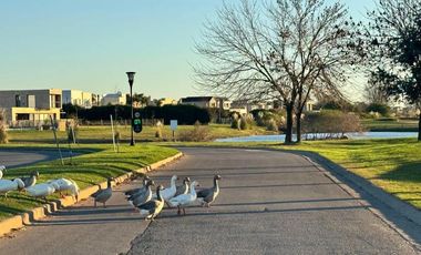 Lote en Venta 1,200 m2, Barrio El Molino, Haras Santa Maria Escobar, G.B.A Norte