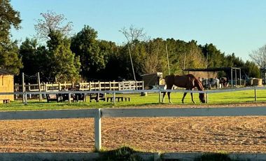 Lote en Venta 1,200 m2, Barrio El Molino, Haras Santa Maria Escobar, G.B.A Norte