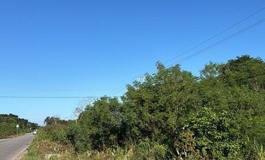 Terreno ideal para proyecto comercial o industrial sobre carretera en Motul, Yuc