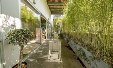 Departamento renta San Angel, Las Flores,Amueblado