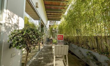 Departamento renta San Angel, Las Flores,Amueblado