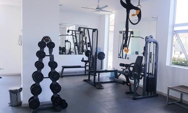 Departamento - Alto Alberdi