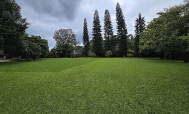 Terreno  en venta enTepoztlán en avenida