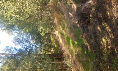 Hermosa propiedad en Pünta del Barco