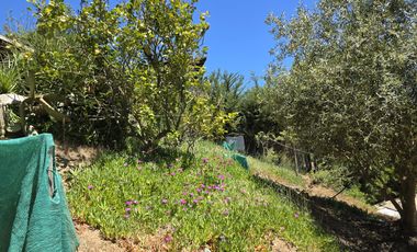 Hermosa propiedad en Pünta del Barco