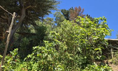 Hermosa propiedad en Pünta del Barco