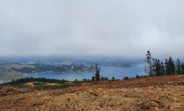 Tiny House  propiedad