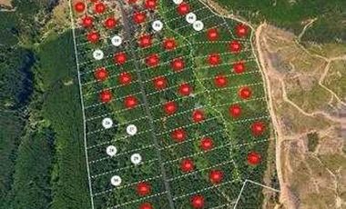 Tiny House  propiedad