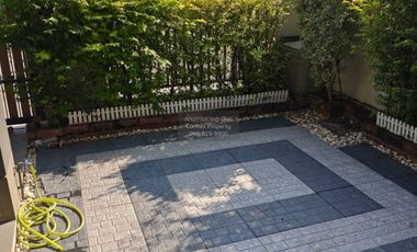 FOR RENT House Phumchanok Phutthamonthon Sai 4-5  CX-144923