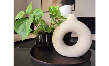 Estrena departamento en San Francisco de los Romo