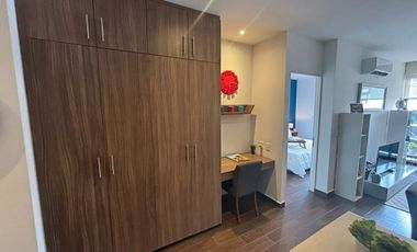 Departamento en Renta Nuevo Sur, Monterrey