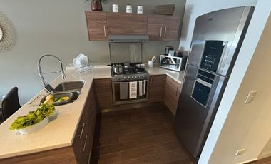 Departamento en Renta Nuevo Sur, Monterrey