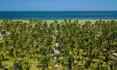 TERRENO ENTRE TELCHAC Y SAN CRISANTO PLAYA COCOS