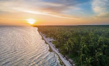 TERRENO ENTRE TELCHAC Y SAN CRISANTO PLAYA COCOS