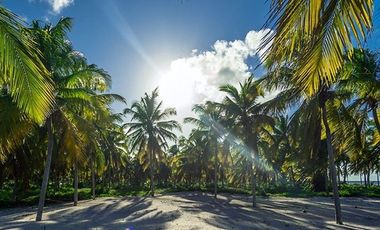 TERRENO ENTRE TELCHAC Y SAN CRISANTO PLAYA COCOS