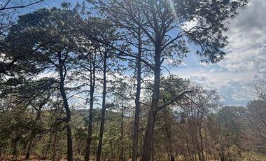 TERRENOS EN PREVENTA EN MAZAMITLA dentro de la Toscana