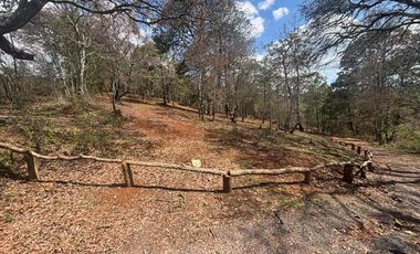 TERRENOS EN PREVENTA EN MAZAMITLA dentro de la Toscana