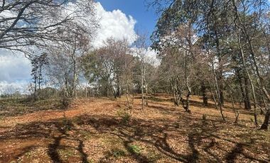 TERRENOS EN PREVENTA EN MAZAMITLA dentro de la Toscana