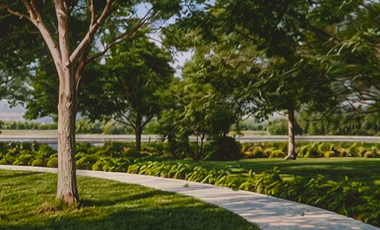 Terreno Residencial en Venta en Tixkokob, Yucatan