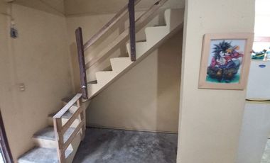 Casa Colonia La Puerta Zihuatanejo Gro