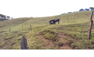 VENDO FINCA PARA PARCELACION O AGROINDUSTRIA EL RETIRO ANTIOQUIA