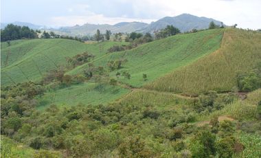 VENDO FINCA PARA PARCELACION O AGROINDUSTRIA EL RETIRO ANTIOQUIA