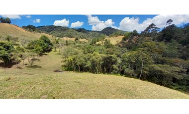 VENDO FINCA PARA PARCELACION O AGROINDUSTRIA EL RETIRO ANTIOQUIA
