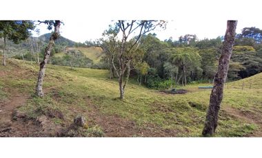 VENDO FINCA PARA PARCELACION O AGROINDUSTRIA EL RETIRO ANTIOQUIA