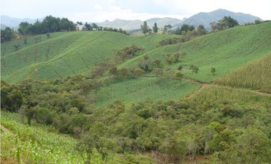 VENDO FINCA PARA PARCELACION O AGROINDUSTRIA EL RETIRO ANTIOQUIA