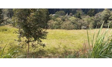 VENDO FINCA PARA PARCELACION O AGROINDUSTRIA EL RETIRO ANTIOQUIA