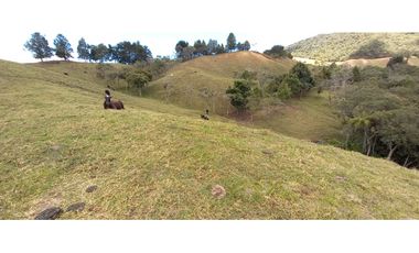 VENDO FINCA PARA PARCELACION O AGROINDUSTRIA EL RETIRO ANTIOQUIA