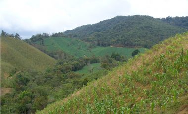 VENDO FINCA PARA PARCELACION O AGROINDUSTRIA EL RETIRO ANTIOQUIA