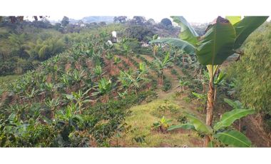 🌿 Finca Multipropósito en Combia – Pereira