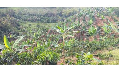 🌿 Finca Multipropósito en Combia – Pereira