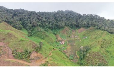 Finca ubicada en el municipio del Carmen de Viboral, Antioquia