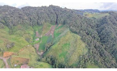 Finca ubicada en el municipio del Carmen de Viboral, Antioquia