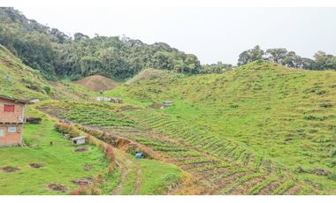 Finca ubicada en el municipio del Carmen de Viboral, Antioquia