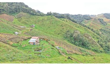 Finca ubicada en el municipio del Carmen de Viboral, Antioquia