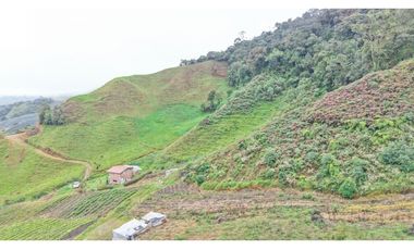 Finca ubicada en el municipio del Carmen de Viboral, Antioquia