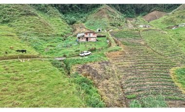 Finca ubicada en el municipio del Carmen de Viboral, Antioquia