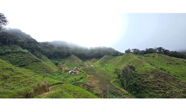 Finca ubicada en el municipio del Carmen de Viboral, Antioquia