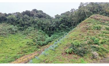 Finca ubicada en el municipio del Carmen de Viboral, Antioquia