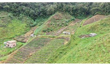 Finca ubicada en el municipio del Carmen de Viboral, Antioquia