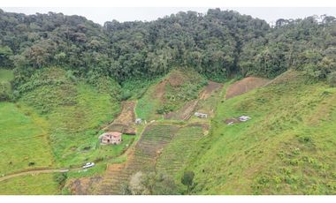 Finca ubicada en el municipio del Carmen de Viboral, Antioquia