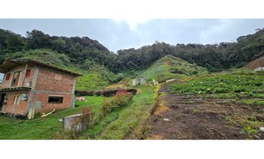 Finca ubicada en el municipio del Carmen de Viboral, Antioquia