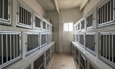 SE ARRIENDA LOCAL EN PRADO VERANIEGO 568M2