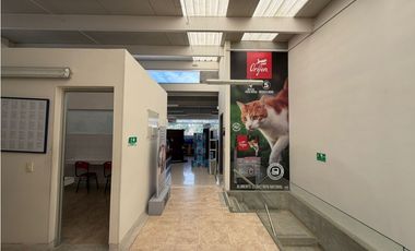 SE ARRIENDA LOCAL EN PRADO VERANIEGO 568M2