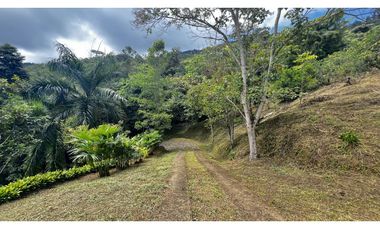 VENDO FINCA EN QUEBRADANEGRA