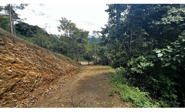 VENDO FINCA EN QUEBRADANEGRA